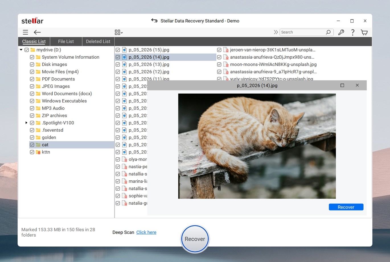 Stellar Data Recovery