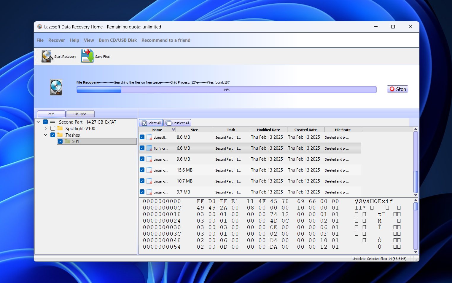 Lazesoft Data Recovery