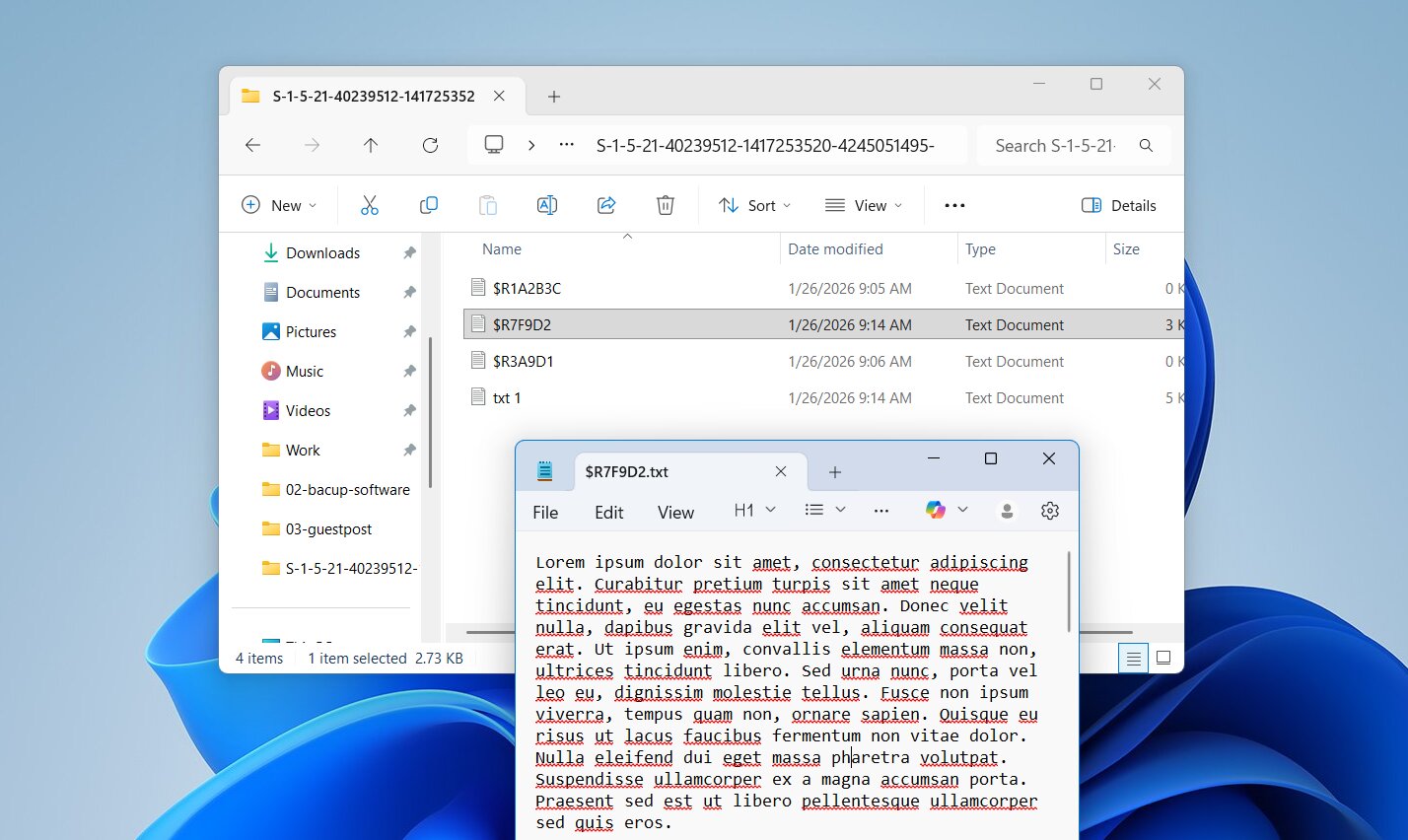 Windows File Recovery Result TXT files