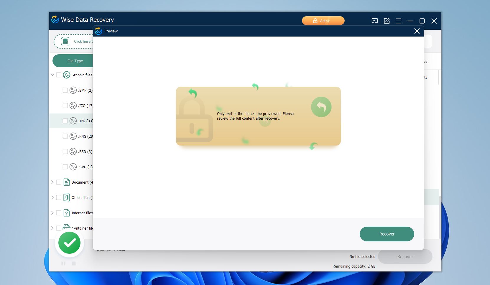 Wise Data Recovery preview window