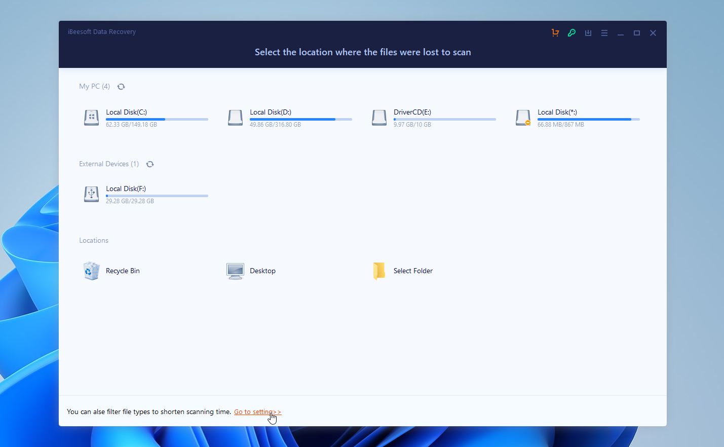 iBeesoft select preferred file types