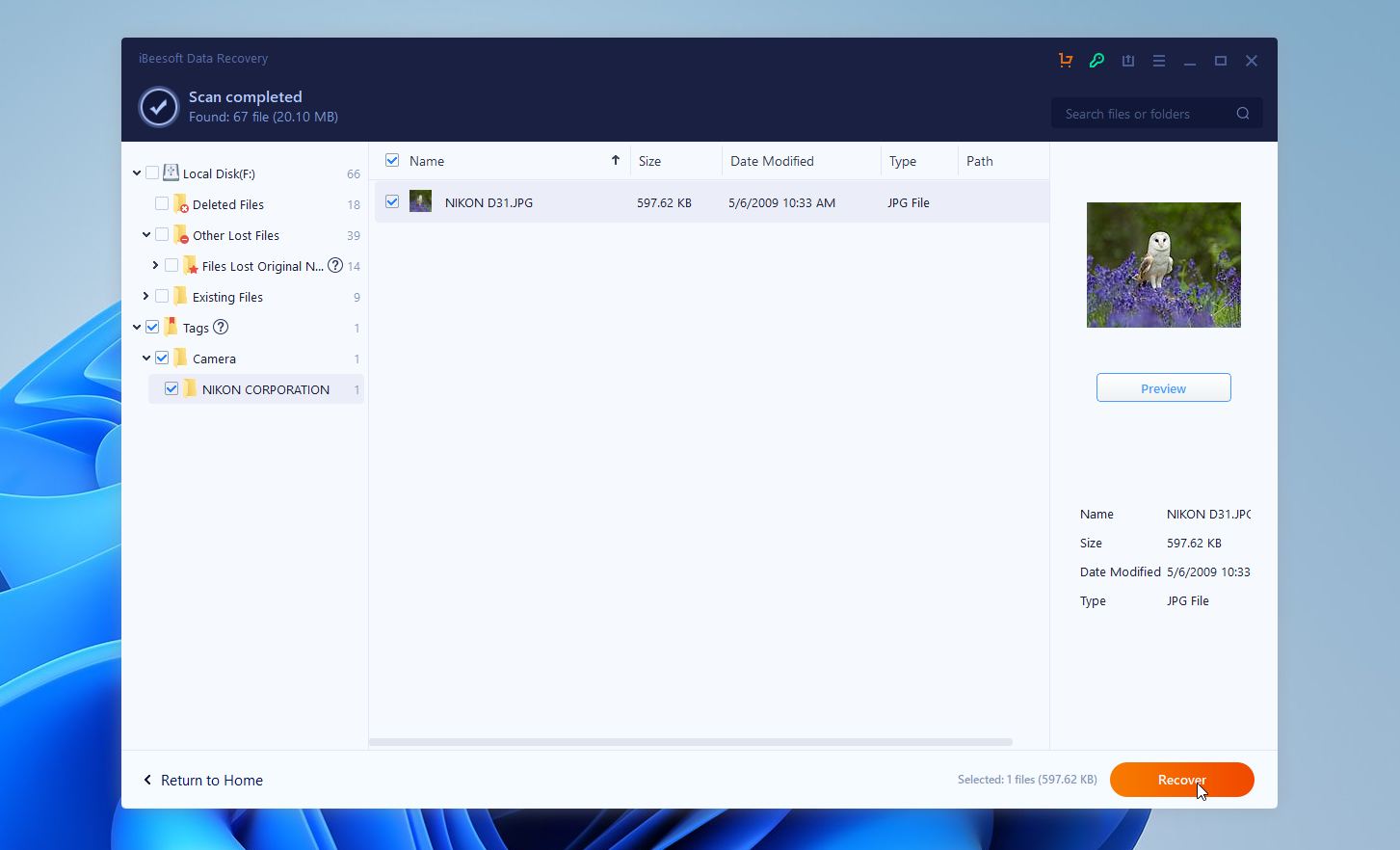 iBeesoft recover files