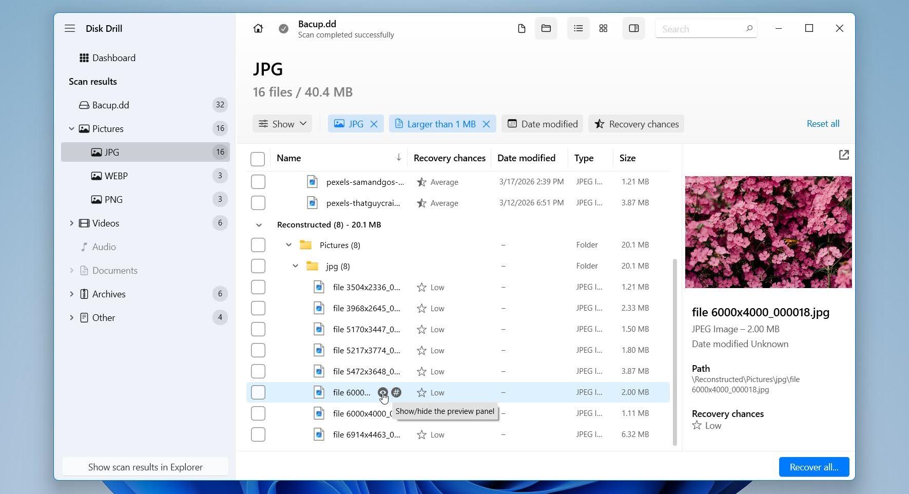 Disk Drill preview files