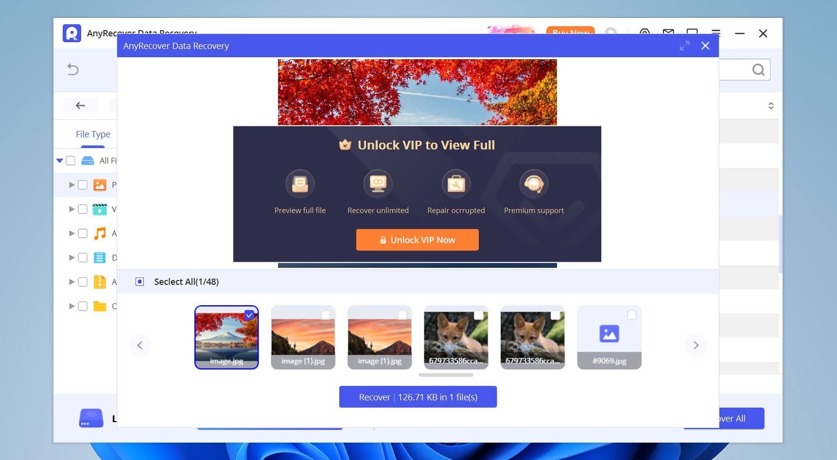 AnyRecover previews