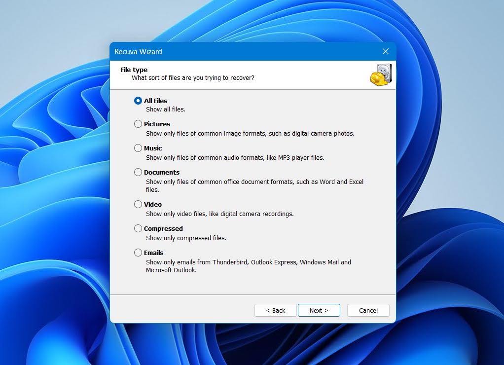 Recuva select the file types you want to recover