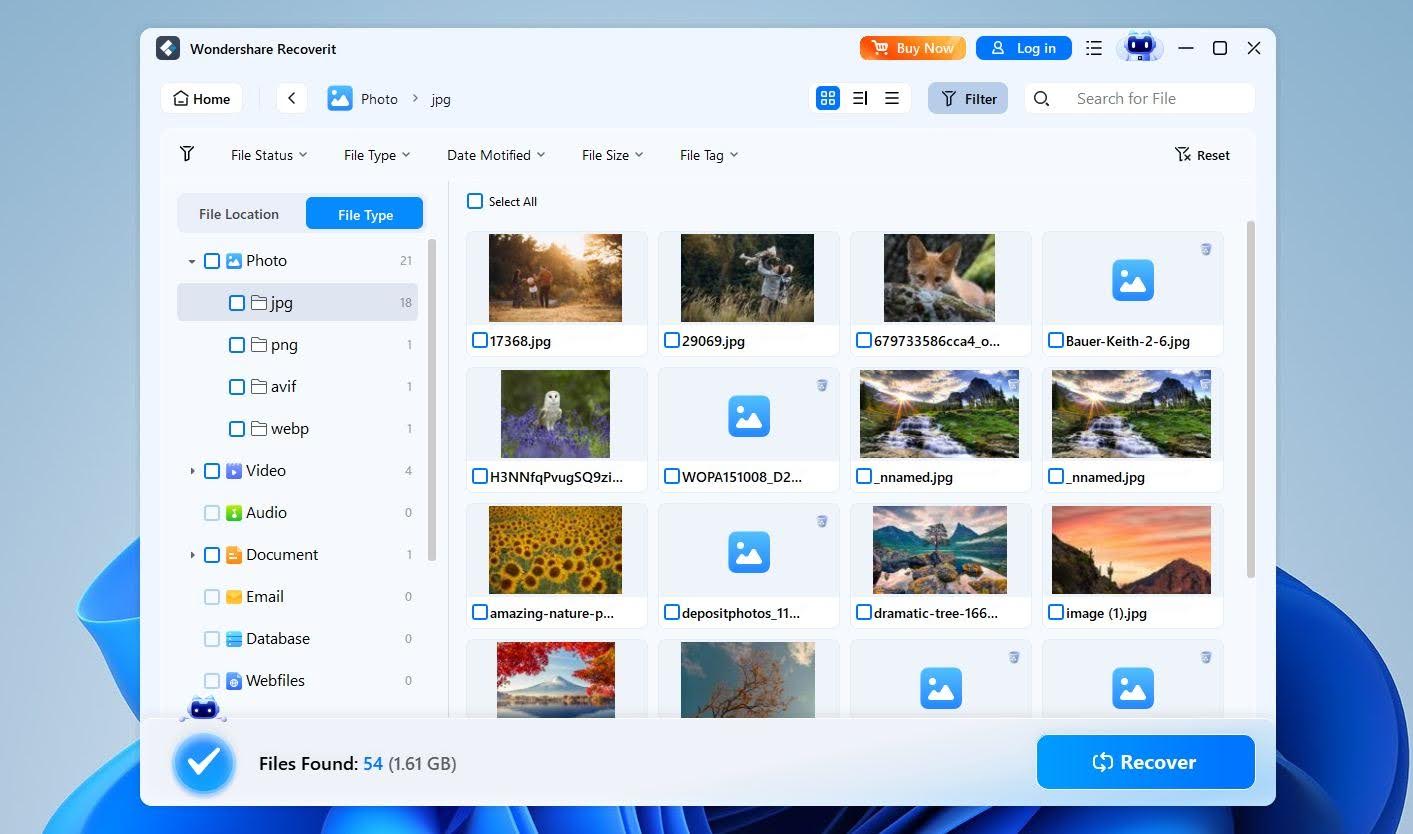 Wondershare preview files